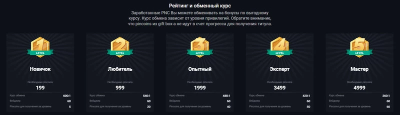 pinupnew vip